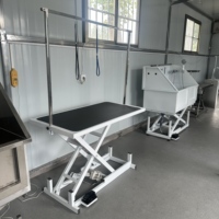 Table de toilettage électrique pour animaux de compagnie, à levage ultra-bas, pour chiens de taille moyenne et grande, pour la coupe, le séchage et le coiffage, table de toilettage spéciale pour animaux.