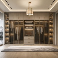 Système de dressing moderne sur mesure avec zones de suspension, étagères de présentation, éclairage LED et étagères ouvertes