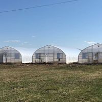 Tunnelkas voor groente- en fruitteelt |   Geïntegreerde dienstverlening van ontwerp, productie en installatie