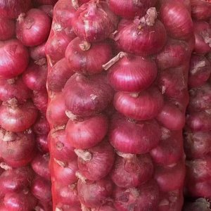 Nueva cosecha cebolla fresca cebolla roja no pelada mejor precio amarillo rojo 10kg 20kg bolsa de malla cebolla para exportación - Product Image 3