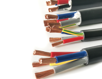 Kabel RVV Berkualitas Tinggi, Kabel Fleksibel Multikonduktor Inti Tembaga, dan Kabel Daya