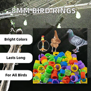 Openbare gekleurde vogelring 8mm plastic identificatieringen voor postduiven kleurrijke openbare vogelbenodigdheden - Product Image 2