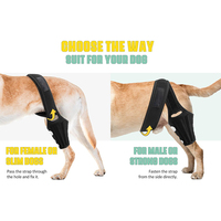 Pet Dog Genouillère Jambe Support Wrap pour Petits Grands Chiens Déchiré ACL Joint Arrière Jambes Manchon De Soutien Pet Genou Soutien Bretelles