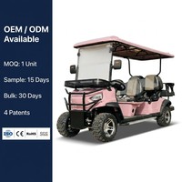 Voiturette de golf rose personnalisée pour 6 passagers, avec freinage hydraulique double, idéale pour le transport en zone touristique