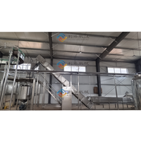 Multifunctionele industriële volautomatische tomatensausverwerkingslijn met machine voor het maken en vullen van fruitsap