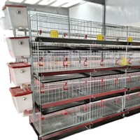 Cages à poules pondeuses personnalisées résistantes à la chaleur – Cage en batterie pour poules pondeuses