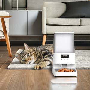 CITICITY - Comedero Inteligente para Mascotas de 5L, Dispensador Automático de Alimentos Eléctrico, Botella de Plástico con Dos Tazones de Acero Inoxidable, Alimentador para Perros - Product Image 2