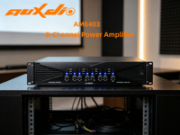 Amplificateur de puissance haute fidélité 8 canaux AM6403 pour son surround professionnel de cinéma maison avec sortie stable