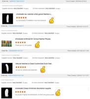 Plumes d'oie blanches naturelles de 4 à 6 pouces en gros pour chapeaux, cadeaux, emballages, accessoires de coiffure, carnaval