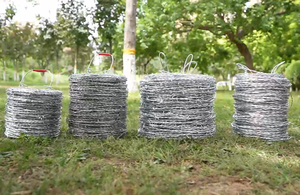 Fabriek Direct Verkopen Hoge Kwaliteit Prikkeldraad Hek - Product Image 4