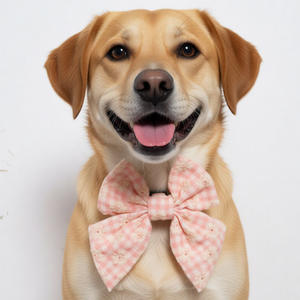 कस्टम वैयक्तिकरण जिंघम कढ़ाई लक्जरी मिठाई ग्रीष्मकालीन नाविक कुत्तों और बिल्लियों के लिए - Product Image 2