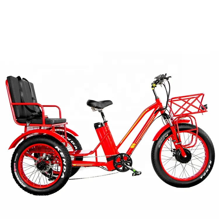 20-24 "gros pneu pousse-pousse électrique Trike 48V 750W 21AH 50 KM/H OEM pedicab CE 3 roues adulte électrique siège passager tricycle