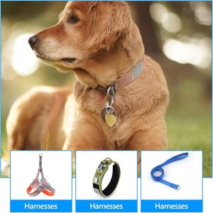 Pieces Metal D Ring Colors Metal <b>Purse</b> Straps Buckle D Shape Multi Purpose Hardware Dee Rings Semi Circular D Ring For Dog Colla - Product Image 5