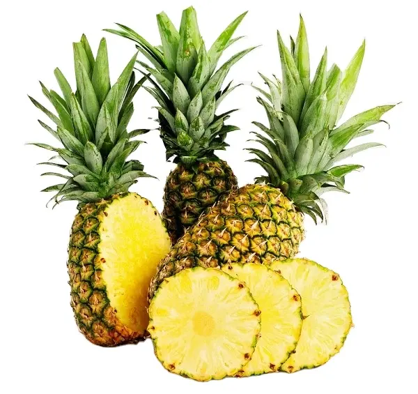 Hoge Kwaliteit Verse Blik Ananas