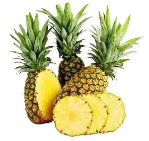 High quality fresh canned pineapple