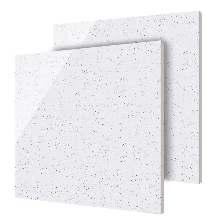 Terrazzo 디자인 24 'x 24 '고광택 흰색 도자기 바닥 타일