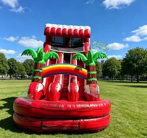Toboggan aquatique gonflable tropical commercial en PVC robuste avec piscine à jets et <span class=keywords><strong>d</strong></span>écoration palmier pour la <span class=keywords><strong>location</strong></span> - Product Image 1