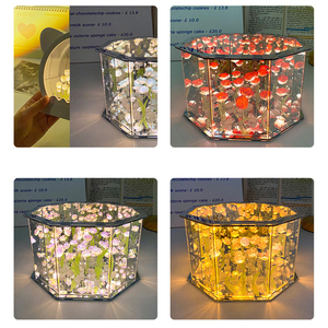 ชุดวัสดุทำโคมไฟกลางคืนรูปดอกกุหลาบแปดเหลี่ยม งานฝีมือ DIY ของขวัญวันเกิด โคมไฟกลางคืนรูปดอกทิวลิป - Product Image 5