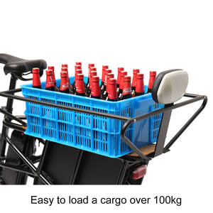 Vélo cargo familial TXED 24''x2.1 avec siège bébé, double batterie au lithium, longue autonomie, haute puissance - Product Image 5