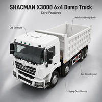 Camion benne minier Shacman X3000 6x4 automatique diesel, moteur WP12, neuf, 30T, conduite à gauche, fiabilité éprouvée, à vendre