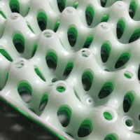 Plateau à œufs en plastique à 30 trous, empilable, adapté au transport d'œufs dans les fermes avicoles.