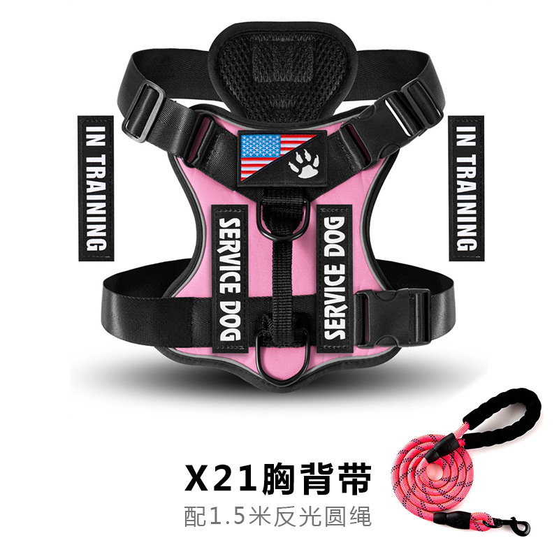 Set sangle + laisse Pink Lake Blue