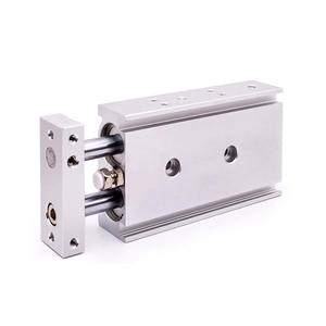 Cylindre pneumatique miniature à double tige et double arbre TR/CXSM6/10/15, nouveau cylindre industriel, options de diamètre 10-15-20-25-30-40-45 - Product Image 1