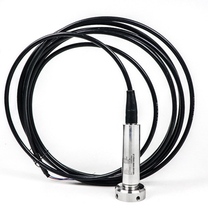 เซ็นเซอร์วัดระดับน้ำบาดาล OEM ODM ราคาประหยัด 4-20mA 0-10V สำหรับงานเจาะน้ำ ป้องกันการอุดตัน แบบจุ่มใต้น้ำ - Product Image 1