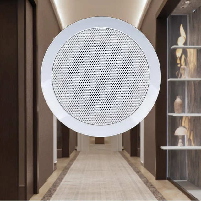 High Quality 4 Inch  5 Inch 100V   3W 6W  Speaker for  Public Address Systems