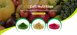 Bán Hot số lượng lớn Rutin 98% <span class=keywords><strong>hplc</strong></span> với giá tốt và chất lượng - Product Image 2