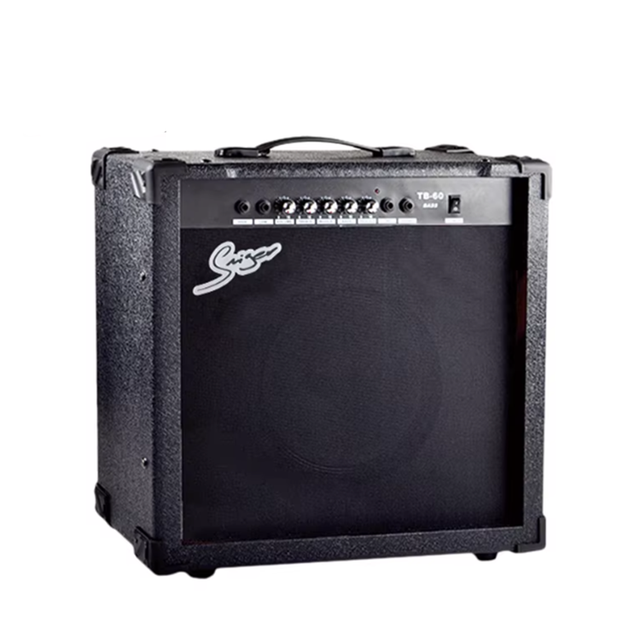 China Professional Factory Wholesale Price Custom Brand 60 Watt Lead Electric Guitar Speaker Amplifier