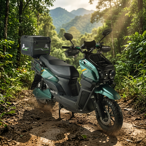 Moto sportive 2000W, scooter pour adultes, frein à disque 60/72V 1500W, moto adulte grande puissance - Product Image 1