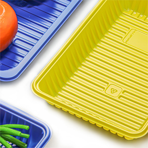 Oferta por tiempo limitado Logotipo personalizable Bandejas de comida de plástico PP Venta caliente - Product Image 2