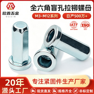 Tuerca Remachable Hexagonal Ciega Ou Xin 1008 de Acero al Carbono Zincado para Racks de Servidores y Chasis - Product Image 4