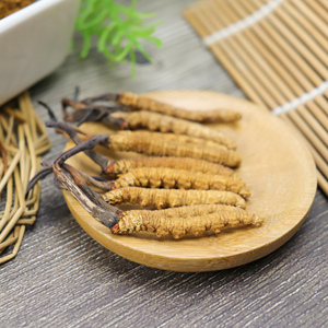 100% Cordyceps Sinensis Prue tự nhiên chất lượng cao Khô Tây Tạng Cordyceps Sinensis - Product Image 3