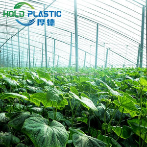 Film Rumah Kaca HD-WovenFilm+ HDPE |   Plastik Biru Transparan Anti UV untuk Rumah Kaca Pertanian Bunga - Product Image 1