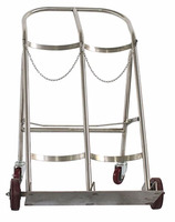 Chariot en acier inoxydable BDT213 pour hôpital, clinique, salle de soins intensifs, support pour bouteille d'oxygène, chariot pour bouteille de GPL