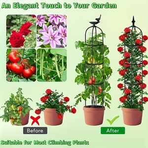 โครงไม้เลื้อยเสาโอเบลิสก์สำหรับสวน<span class=keywords><strong>2</strong></span>แพ็คสำหรับปีนต้นไม้กลางแจ้ง6.6ft-78 "โครงและค้ำต้นไม้โลหะเคลือบป้องกันสนิม - Product Image 4