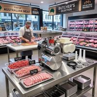 Hachoir et trancheuse à viande électrique professionnelle de comptoir, équipement de boucherie en acier inoxydable avec kit de remplissage de saucisses