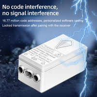 Interruptor de Control Remoto Inalámbrico Digital de 220V/110V con 1 Tecla para Lámpara de Luz, Interruptor de Control Remoto para Hogar Inteligente