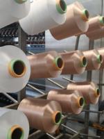 Fil de polyester WELONG de haute qualité 450D ATY dopé SD HIM 100% DTY, fil de polyester recyclé pour le tissage