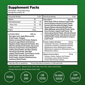 Suplemento Vitamínico en Polvo Super Green OEM, Mezcla de Probióticos y Antioxidantes, Apoyo Inmunológico, Salud Digestiva, Alimento Saludable - Product Image 3