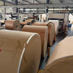 Rollo de Papel Recubierto de PE de Alta Densidad, Rollo Jumbo Impermeable, Tamaño Personalizado, OEM ODM, para Vasos de Papel para Bebidas, Precio por Pedido al por Mayor - Product Image 4