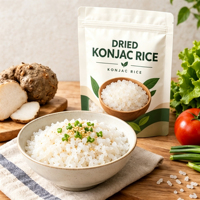 Poudre de protéines de riz de konjac OEM ODM pour adultes, faible en glucides, substitut de repas pour le petit-déjeuner