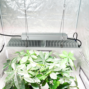 Đáng tin cậy 600W Dimmable HPS phát triển ánh sáng tần số cao chấn lưu điện tử hệ thống cho nhà máy trong nhà trồng trọt - Product Image 6