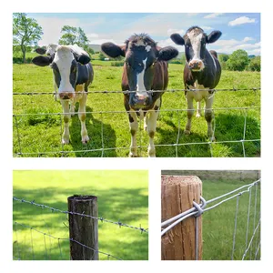 Good Quality Steel Farm Fences 1/1.2/1.5/1.8/ Driveway Gates With Hot Dip Finishing Waterproof Deer Goat Cattle Sheep Horses