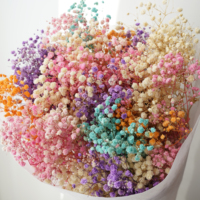 Bunga Baby's Breath Awet 400g Grosir, Ranting Gypsophila Alami untuk Dekorasi Rumah, Pesta, dan Pernikahan