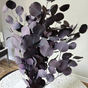 Foglie di <span class=keywords><strong>Eucalipto</strong></span> Preservate Artigianali Eco-Friendly, Fiori Secchi Ornamentali, Vendita all'Ingrosso, Lunga Durata, Fai da Te, San Valentino - Product Image 2