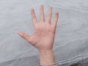 Choyeuh Nông Nghiệp Nhà kính nhựa côn trùng lưới lưới để bán vườn 40 50 lưới bảo vệ côn trùng bằng chứng Lưới <span class=keywords><strong>Net</strong></span> - Product Image 2