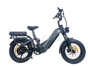 Bicicleta Eléctrica Híbrida de Montaña 2026 de Nueva Llegada con Paso Bajo, 60V/72V, 2000W de Potencia y Baterías Dobles - Product Image 3